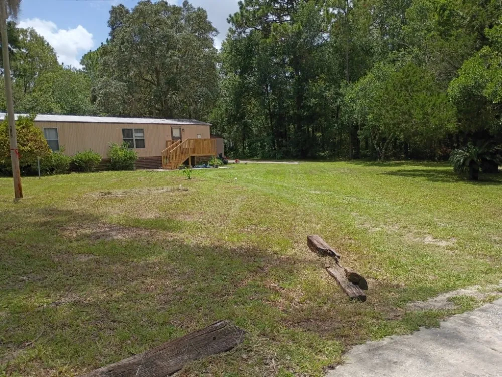 Professional yard cleanup service in Crystal River, FL - You Grow Em We Cut Em