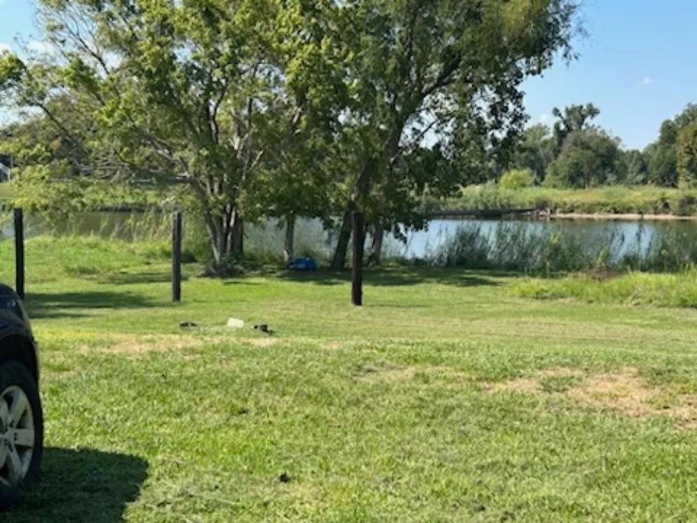 Custom yard cleanup service in Bay City, TX by You Grow It I Mow It