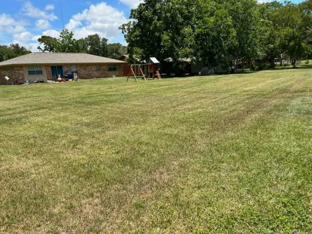 Custom landscape installation experts serving Bay City, TX - You Grow It I Mow It