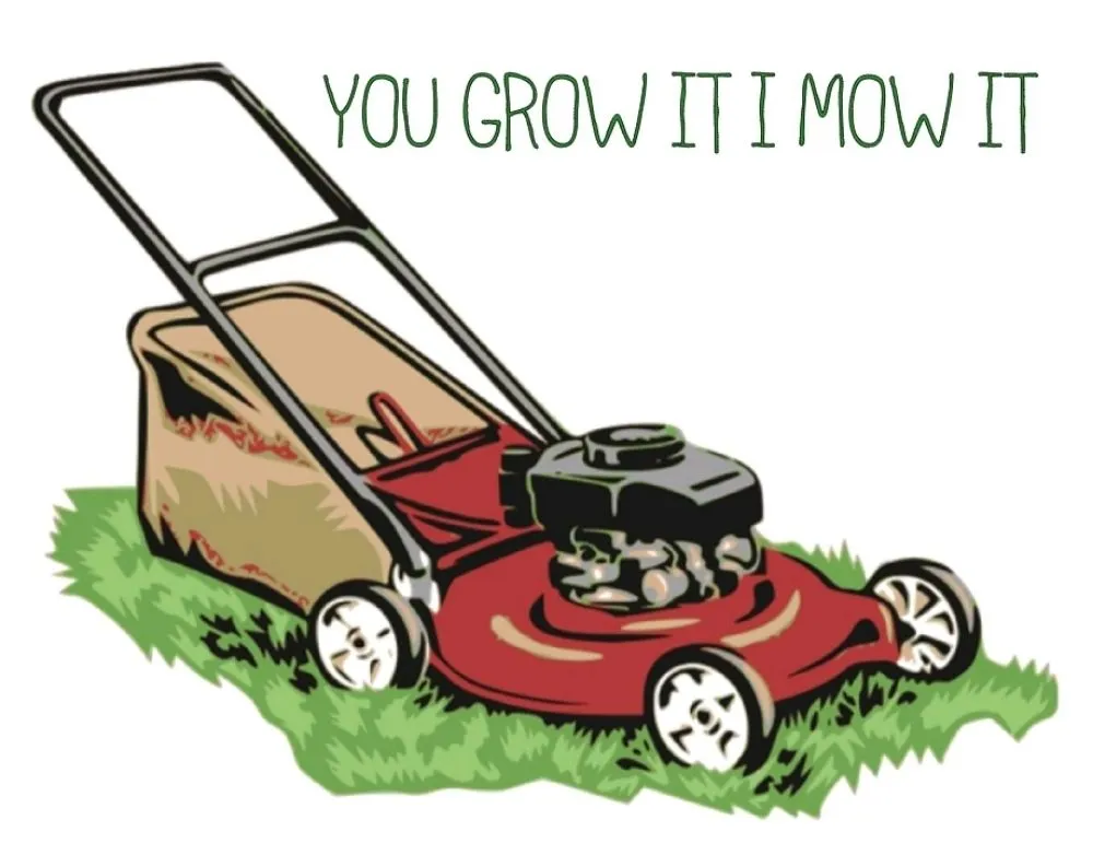 Expert landscaping services with custom design in Bay City, TX by You Grow It I Mow It