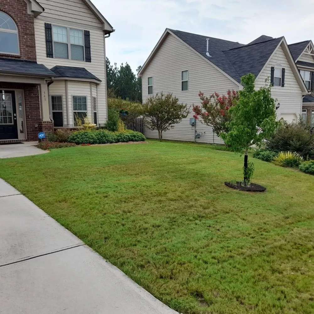 Top-rated yard cleanup service near you in Graniteville, SC by You Grow It, I’ll Mow It