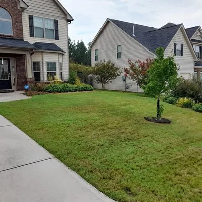 You Grow It, I’ll Mow It