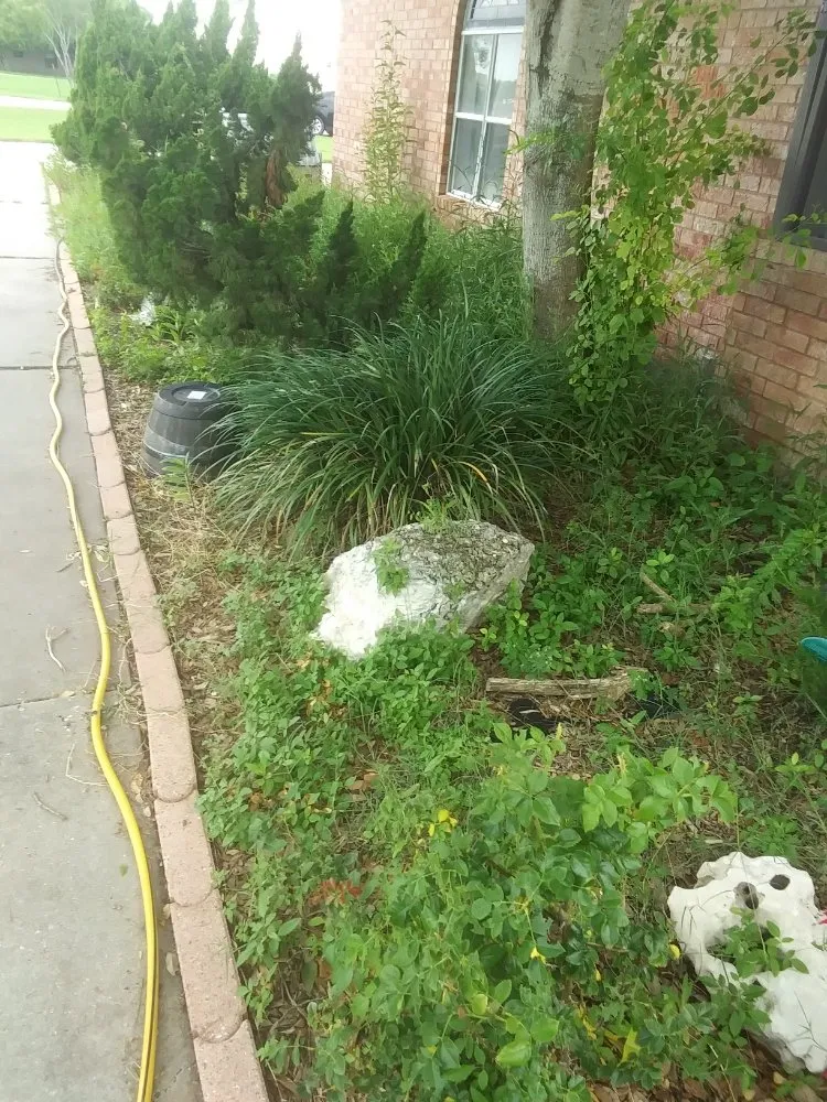 Professional yard maintenance in CORP CHRISTI, TX - You Grow It We Mow It