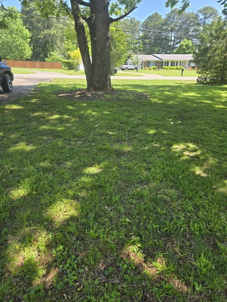 Local lawn care service in Fayetteville, TN by You Grow It We Mow It