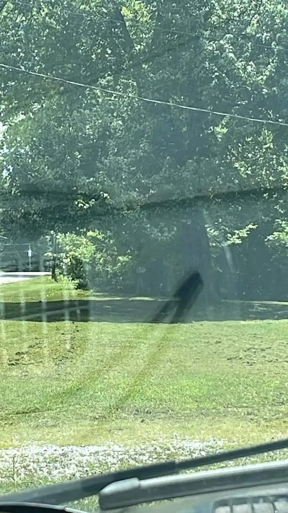 Expert yard maintenance in Fayetteville, TN - You Grow It We Mow It