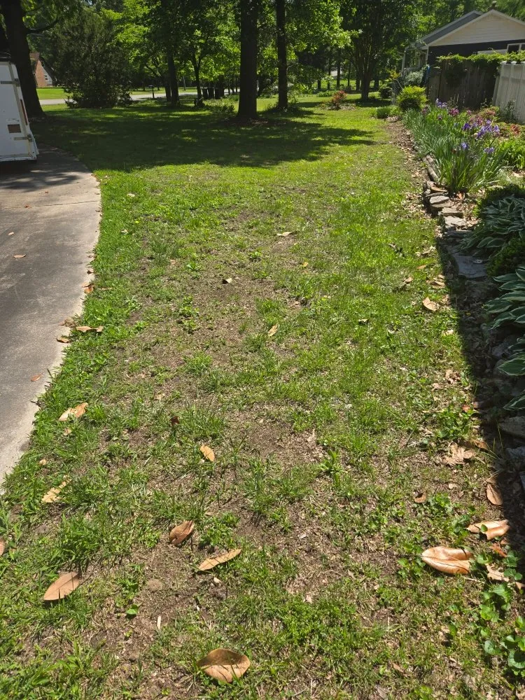 Professional lawn care service experts serving Fayetteville, TN - You Grow It We Mow It