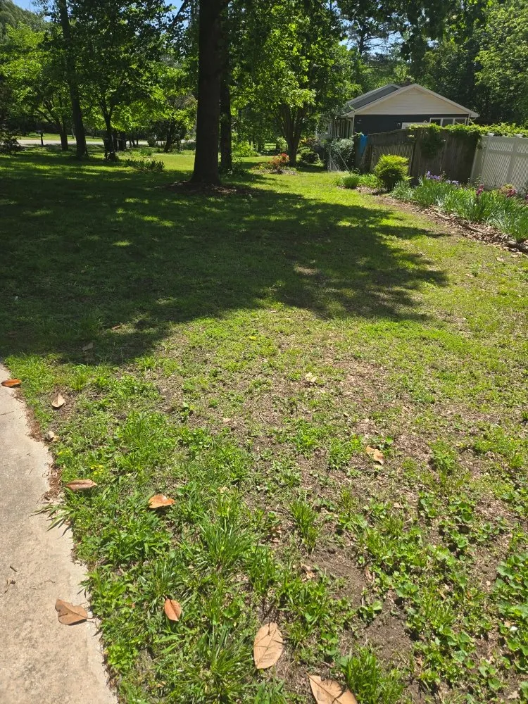 Expert yard maintenance with custom design across Fayetteville, TN - You Grow It We Mow It