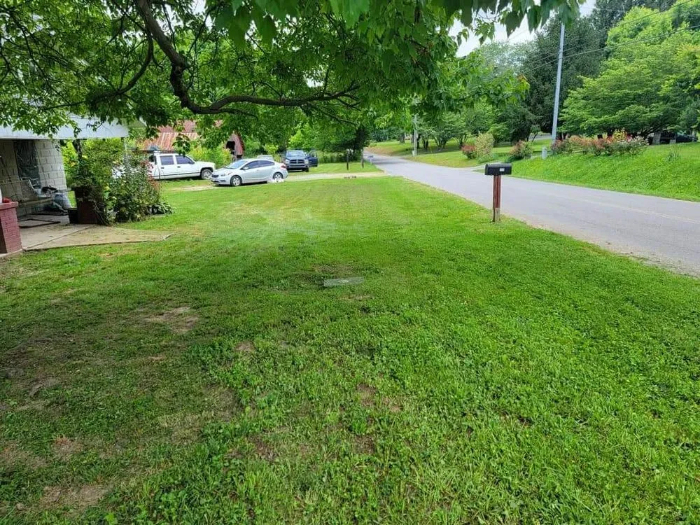 Expert yard maintenance in Fayetteville, TN by You Grow It We Mow It