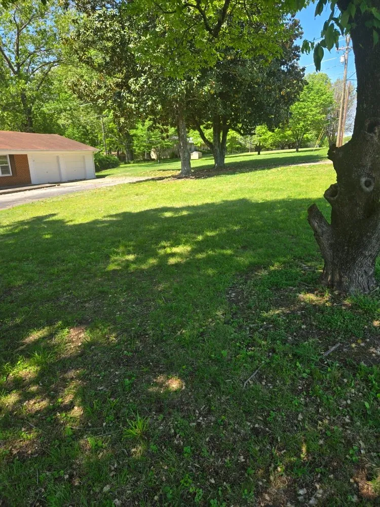 Trusted lawn care service in Fayetteville, TN - You Grow It We Mow It