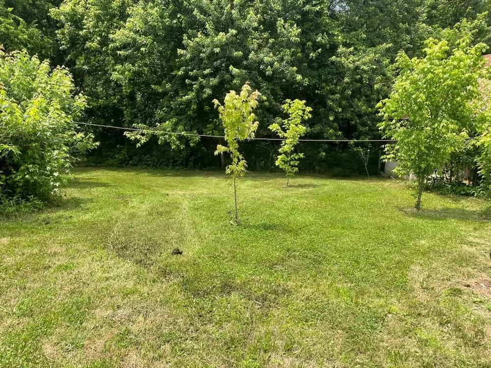 Top-rated yard maintenance in Fayetteville, TN by You Grow It We Mow It