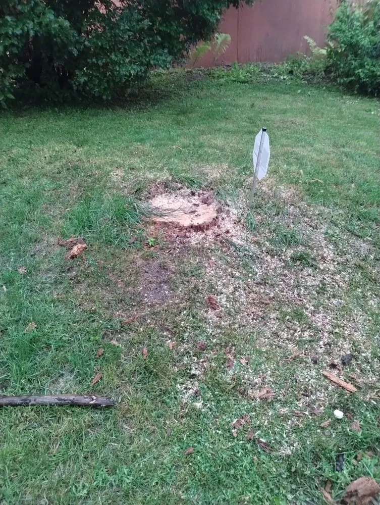 Affordable lawn care service for beautiful yards across Mazomanie, WI - You Grow It We Mow It