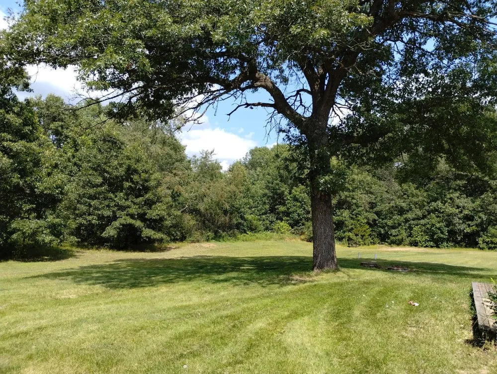 Expert outdoor landscaping for outdoor upgrades in Mazomanie, WI by You Grow It We Mow It