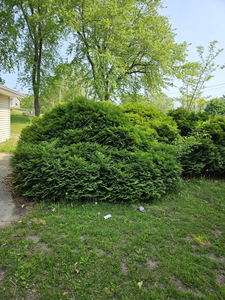 Custom yard maintenance in Mazomanie, WI by You Grow It We Mow It