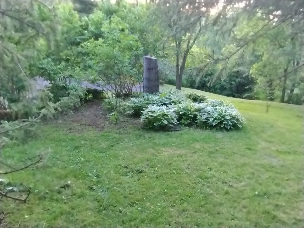 Local yard cleanup service in Mazomanie, WI - You Grow It We Mow It