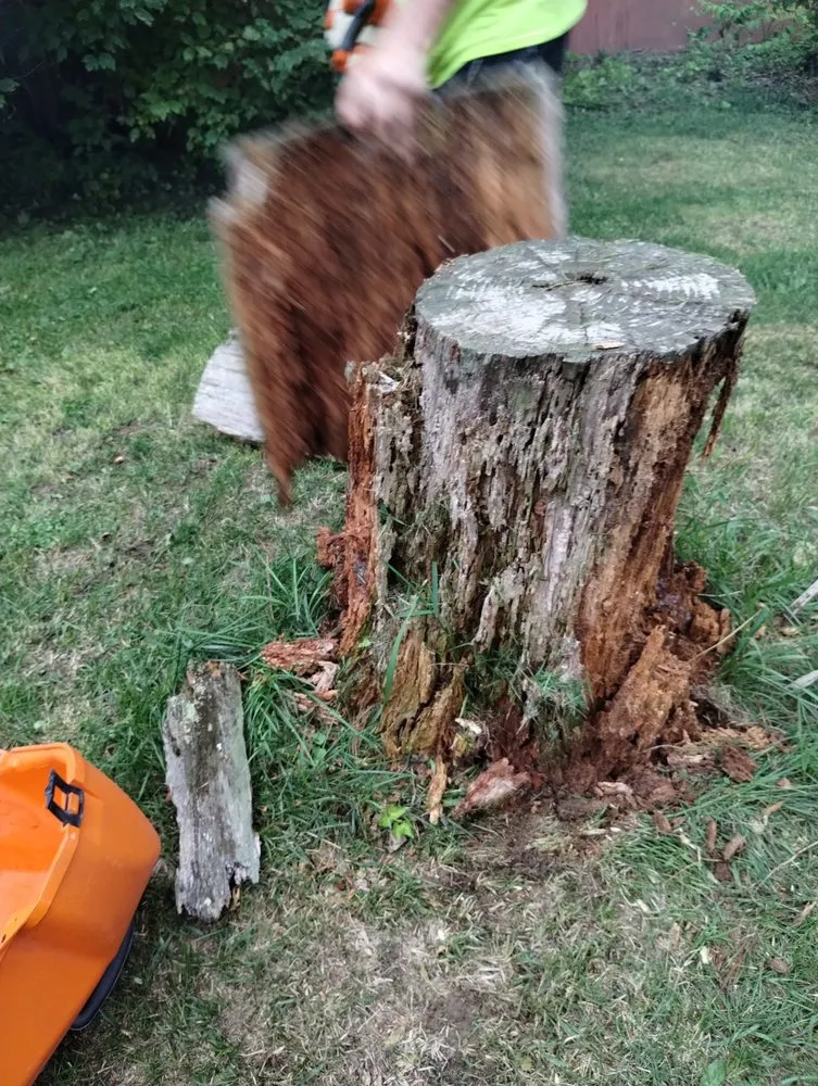 Top-rated lawn mowing service experts serving Mazomanie, WI - You Grow It We Mow It