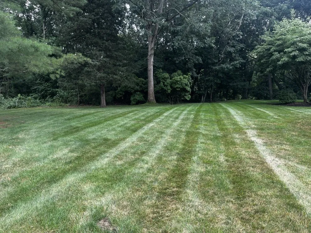 Trusted yard maintenance in West Warwick, RI - You Grow It We Mow It