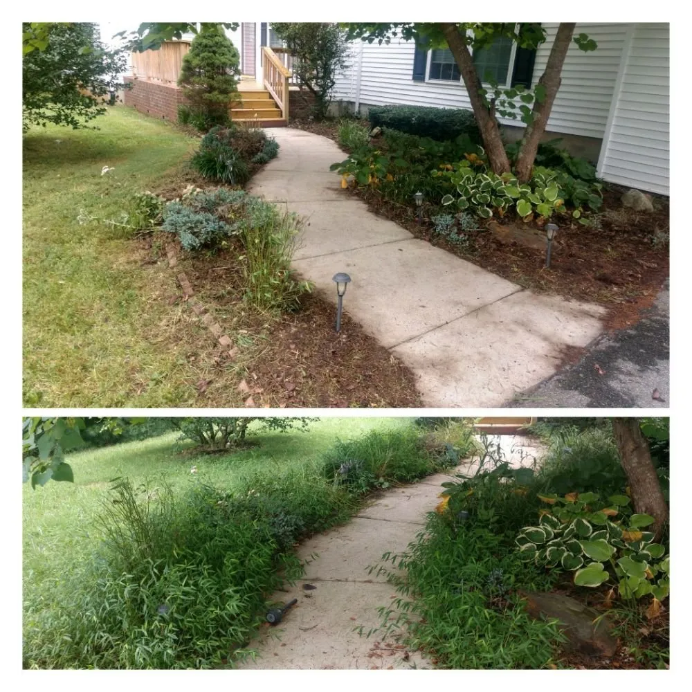 Affordable lawn mowing service experts serving Fletcher, NC - You Grow It,We Mow It