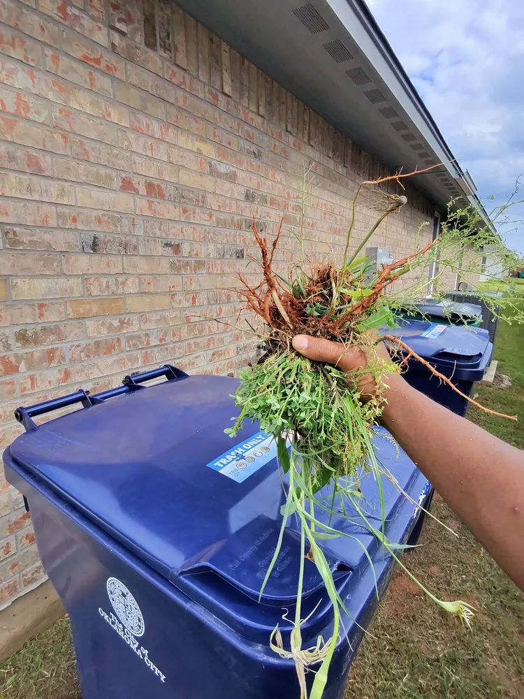 Expert landscape installation for residential properties across Oklahoma City, OK - You See It Lawn Service