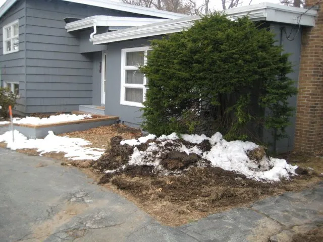 Custom yard cleanup service in Lynnfield, MA - Young & Sons