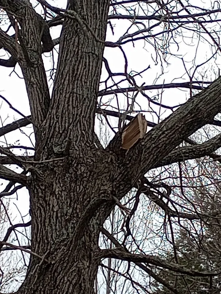 Custom yard maintenance for beautiful yards across Bennington, VT - Young & Son's Tree Care and General Contracting