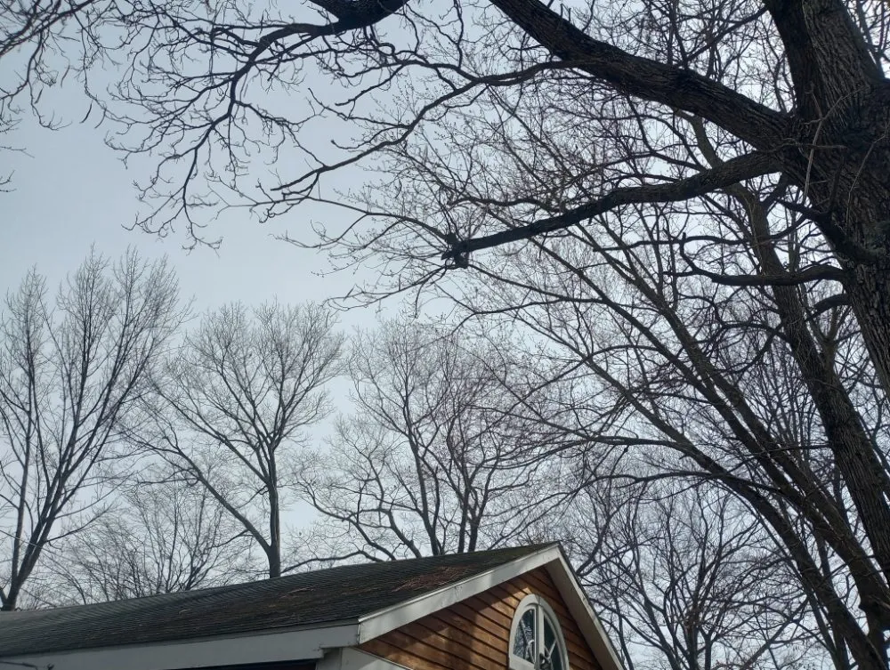 Reliable landscaping services near you across Bennington, VT - Young & Son's Tree Care and General Contracting