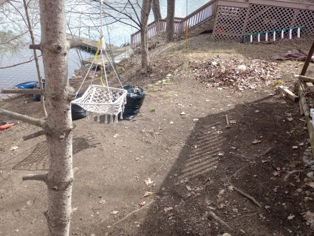 Professional lawn care service in Bennington, VT - Young & Son's Tree Care and General Contracting