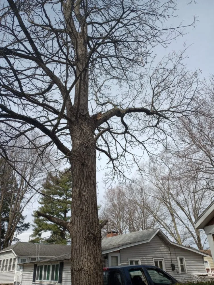 Local garden landscaping in Bennington, VT - Young & Son's Tree Care and General Contracting