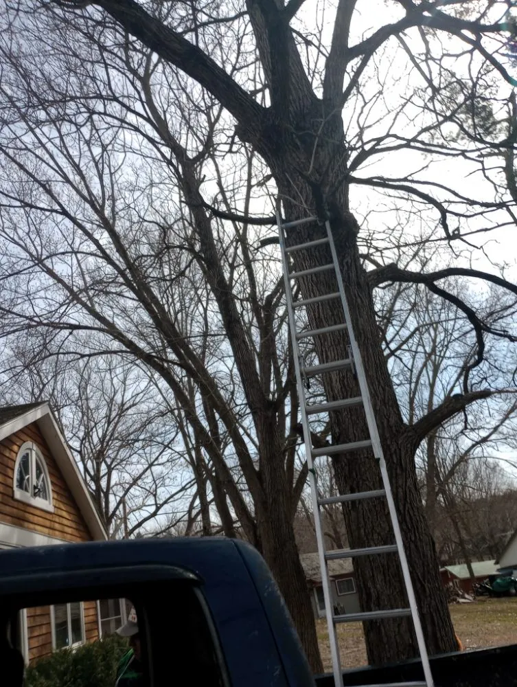 Top-rated yard maintenance for beautiful yards in Bennington, VT by Young & Son's Tree Care and General Contracting