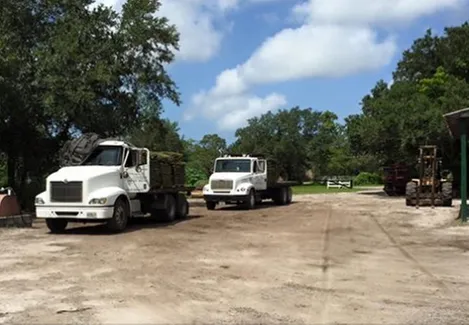 Affordable landscape design in Venice, FL by Young Acres Sod