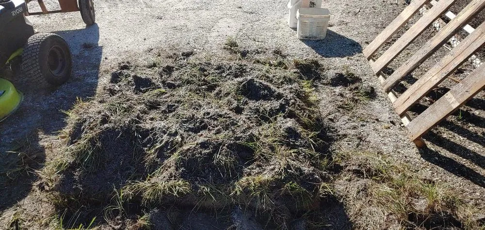 Reliable landscape installation in Venice, FL - Young Acres Sod