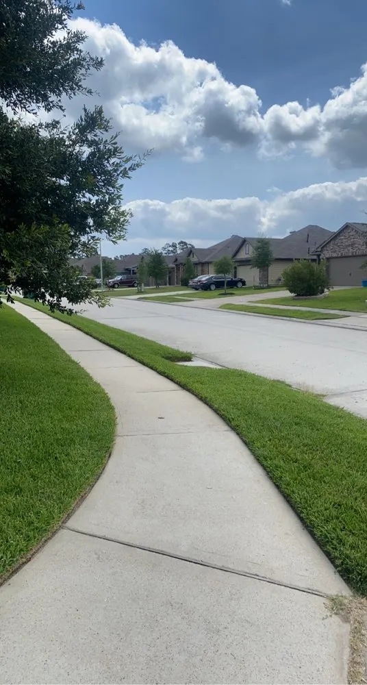 Professional lawn care service for homes in Conroe, TX by Young and Ambitious