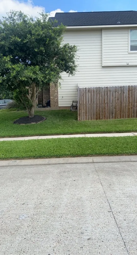 Reliable lawn mowing service experts serving Conroe, TX - Young and Ambitious
