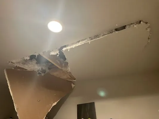 Young and Ambitious Logo