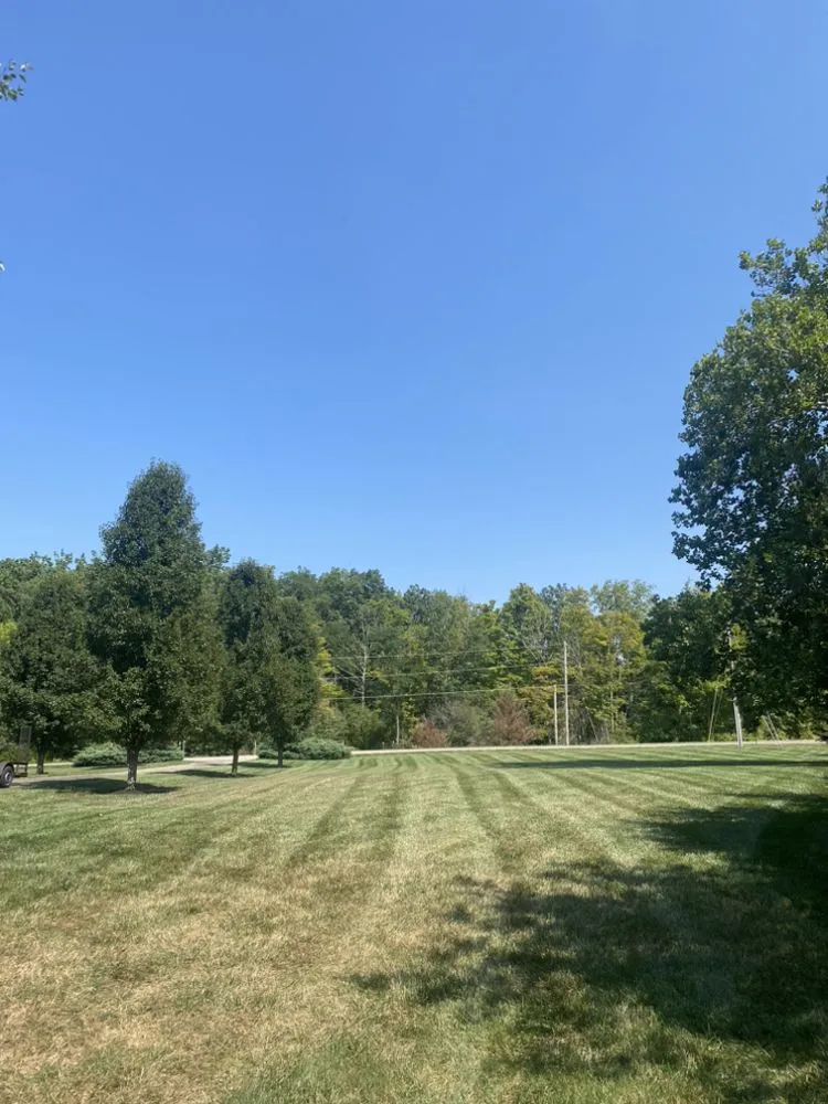 Affordable yard cleanup service for residential properties in Chillicothe, OH by Young Brothers Enterprise