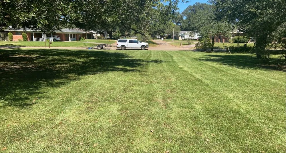 Expert yard maintenance in New Iberia, LA - Young Buck Power Washing and Lawncare