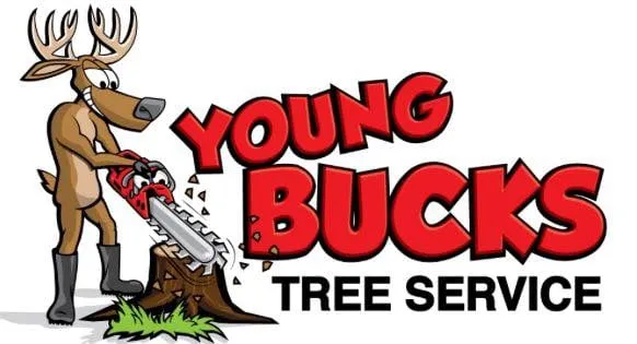 Professional outdoor landscaping in Wenatchee, WA by Young Bucks Landscaping & Tree Service