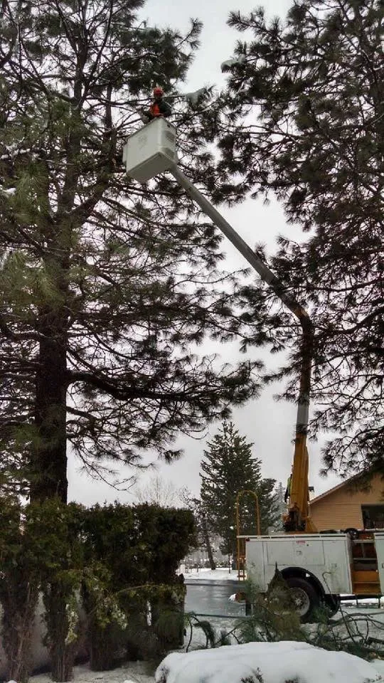 Reliable landscaping services for outdoor upgrades across Wenatchee, WA - Young Bucks Landscaping & Tree Service