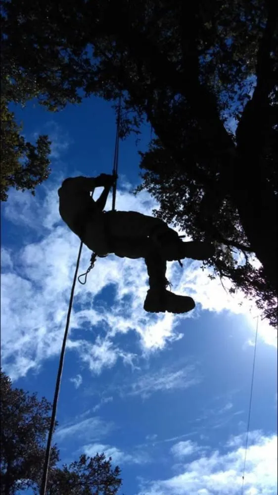 Local landscaping services for beautiful yards in Wenatchee, WA by Young Bucks Landscaping & Tree Service