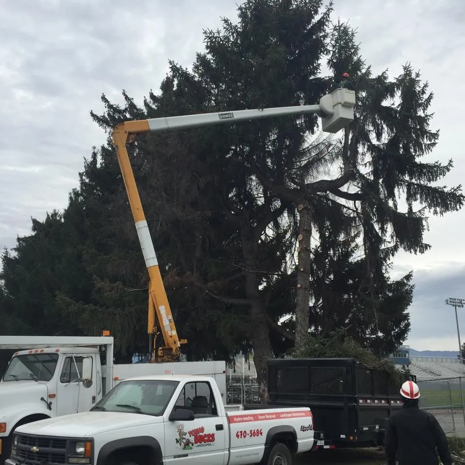 Custom outdoor landscaping in Wenatchee, WA - Young Bucks Landscaping & Tree Service