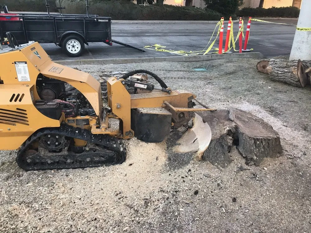 Professional residential landscaping in Wenatchee, WA - Young Bucks Landscaping & Tree Service