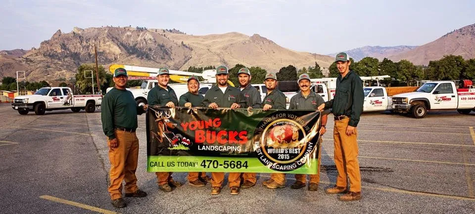Trusted landscaping services for year-round maintenance in Wenatchee, WA by Young Bucks Landscaping & Tree Service