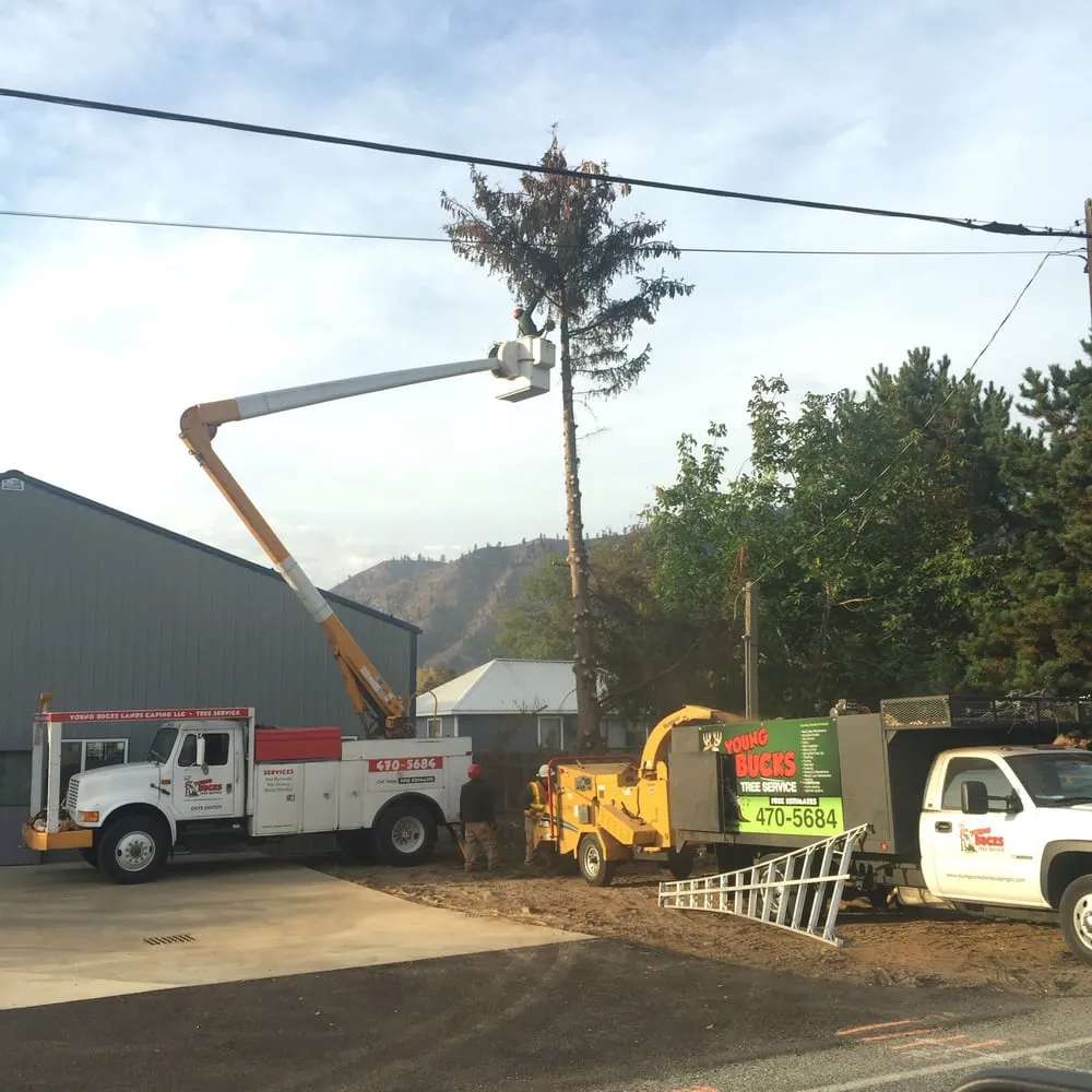 Top-rated garden landscaping experts serving Wenatchee, WA - Young Bucks Landscaping & Tree Service