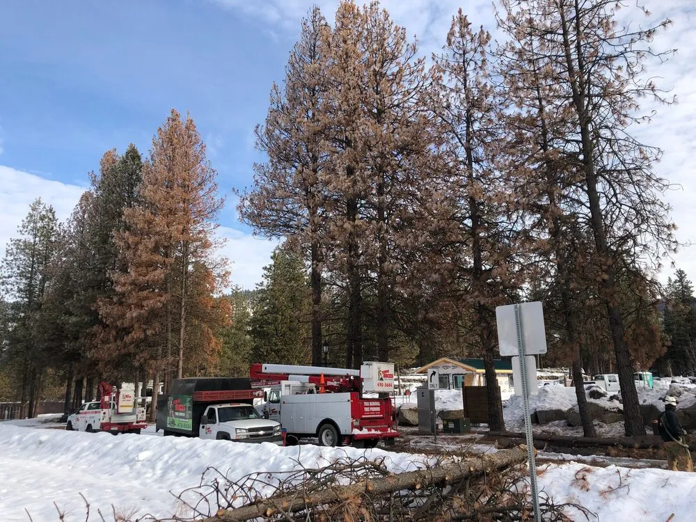 Top-rated landscape installation in Wenatchee, WA by Young Bucks Landscaping & Tree Service