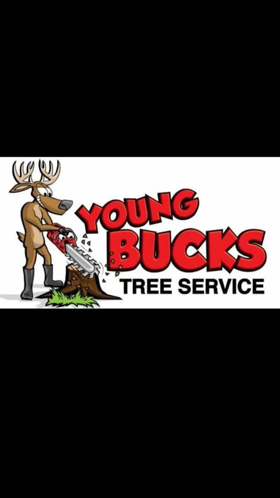 Top-rated lawn care service for residential properties in Wenatchee, WA by Young Bucks Landscaping & Tree Service
