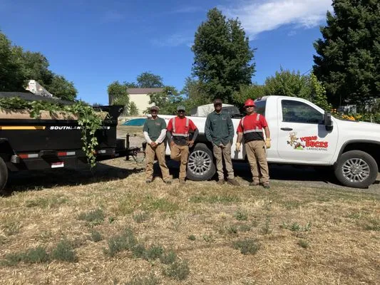 Young Bucks Landscaping & Tree Service