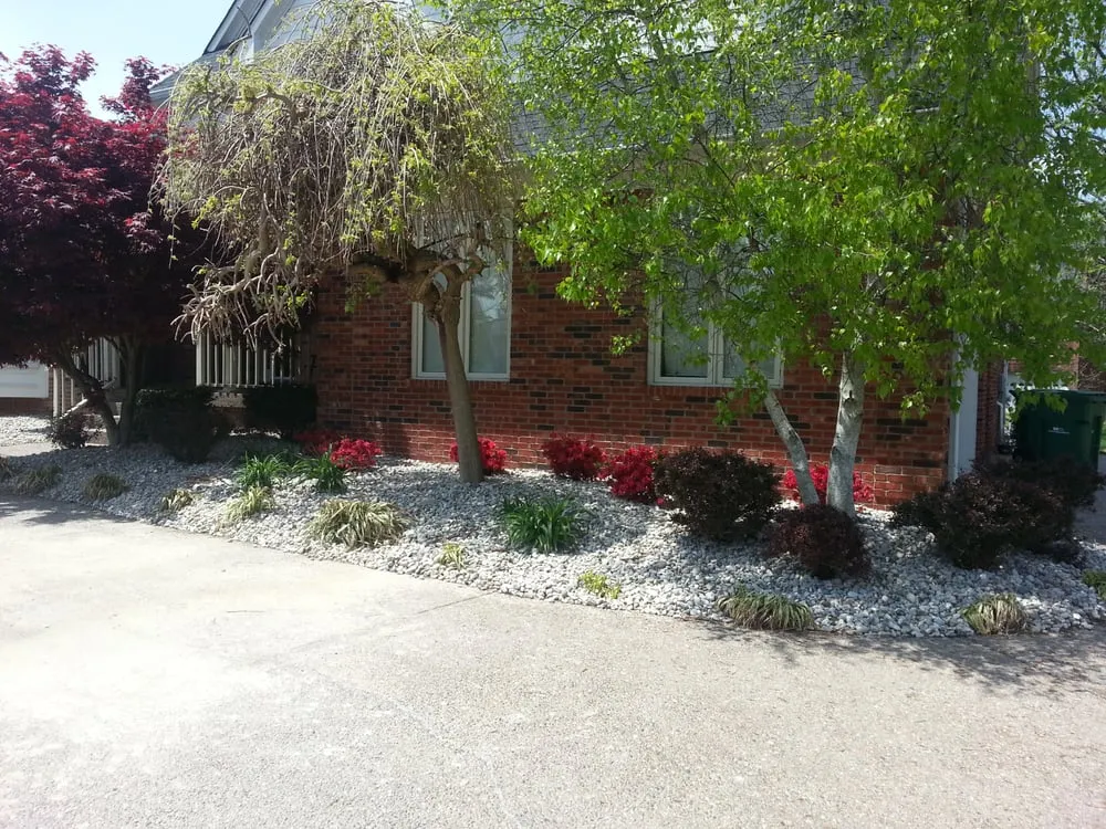 Top-rated landscaping services experts serving Mount Washington, KY - Young Creation Care And Landscaping