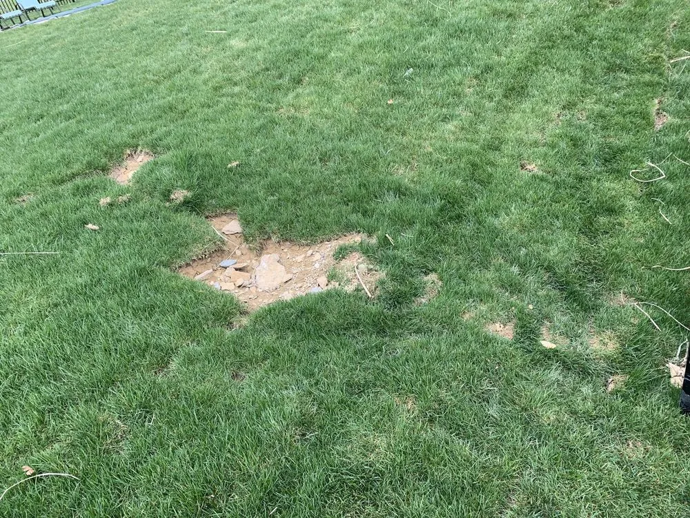 Custom lawn mowing service in Cincinnati, OH - Young Entrepreneur Landscaping