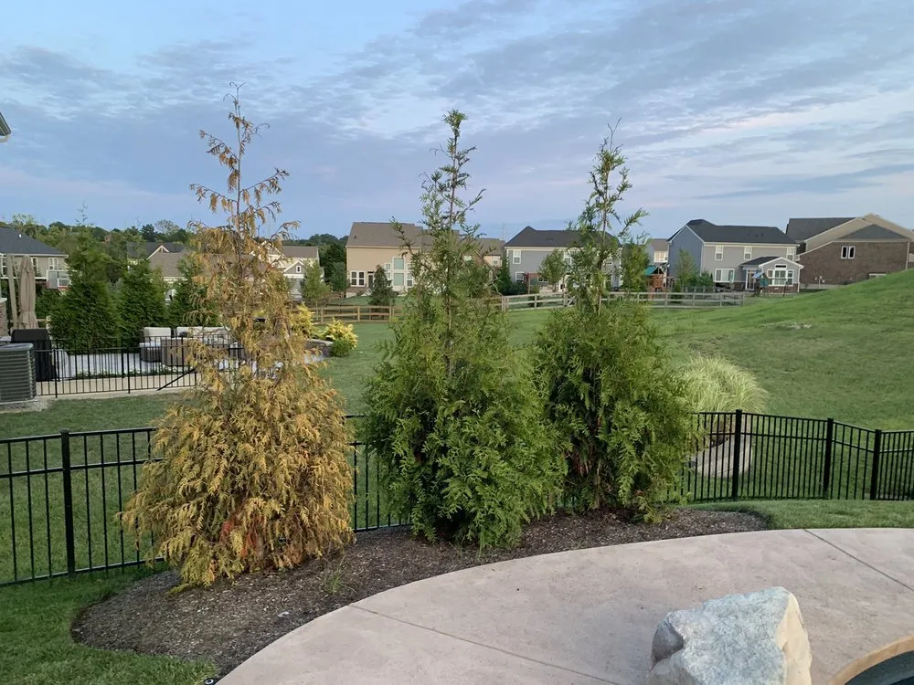 Professional outdoor landscaping in Cincinnati, OH by Young Entrepreneur Landscaping