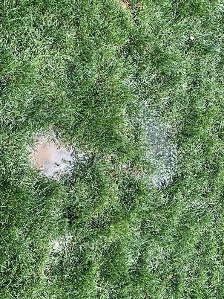 Professional outdoor landscaping in Cincinnati, OH by Young Entrepreneur Landscaping