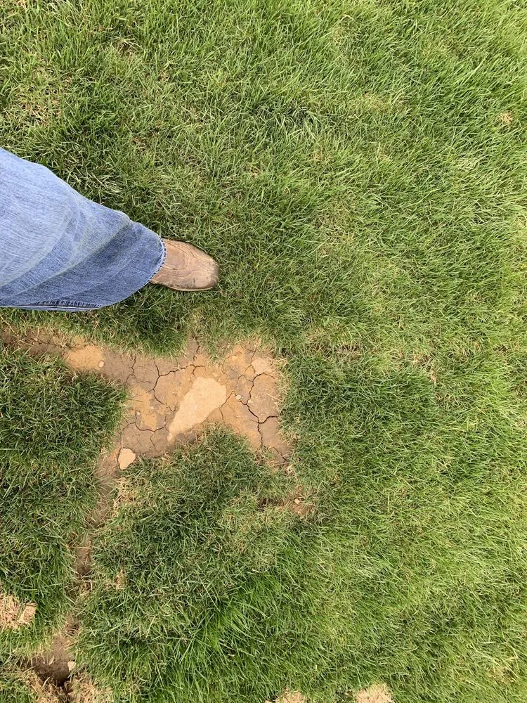 Professional landscape design in Cincinnati, OH by Young Entrepreneur Landscaping